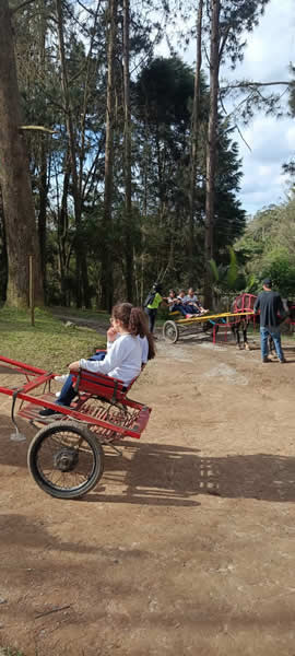 Bicho Mania 2022